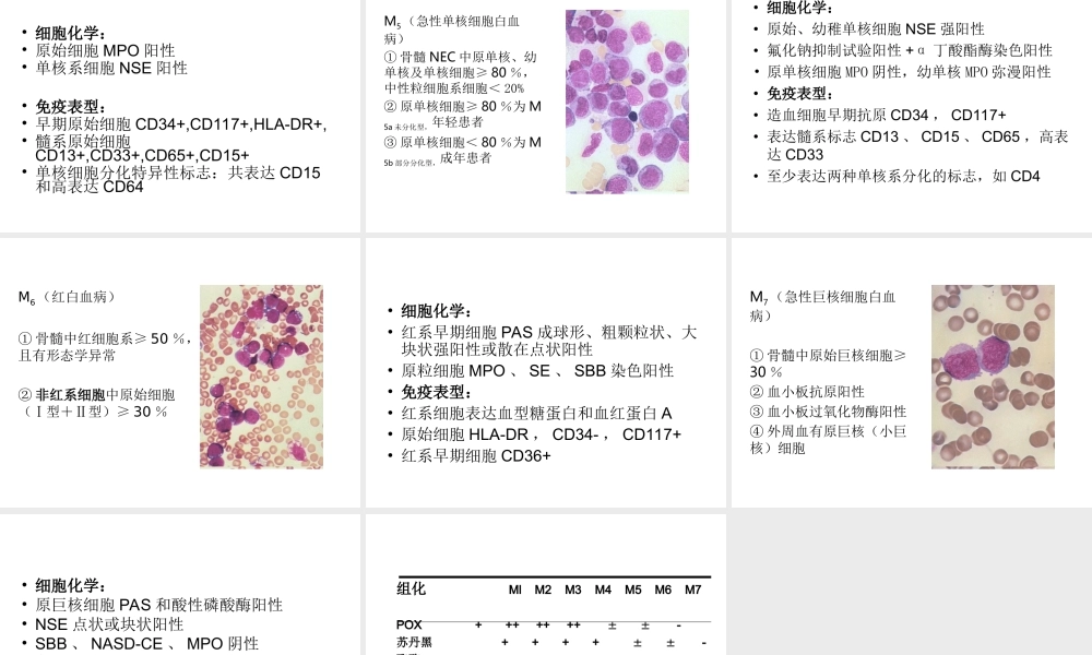 急性非淋巴细胞白血病.ppt