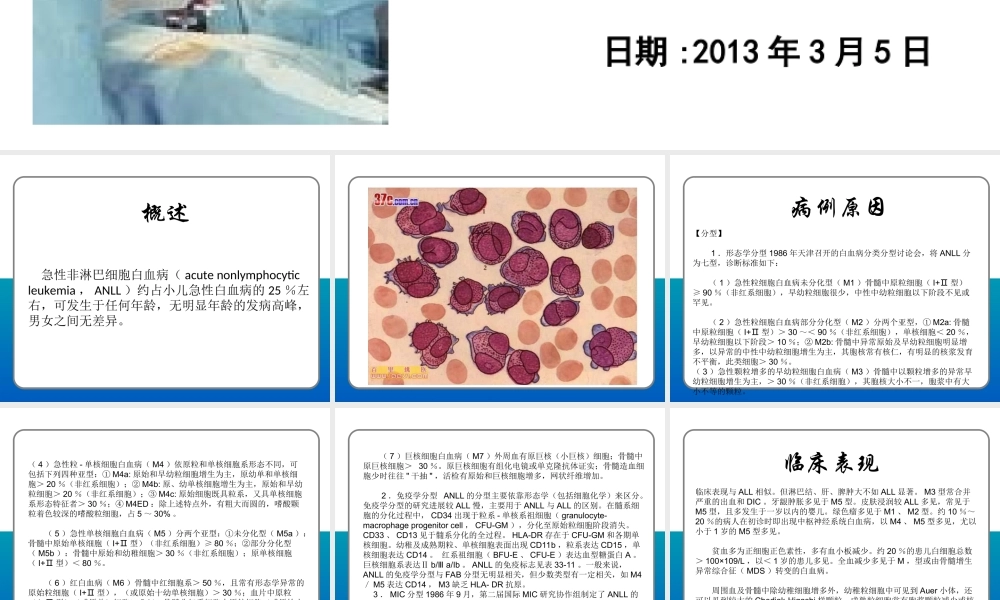 急性非淋巴细胞白血病PPT.ppt