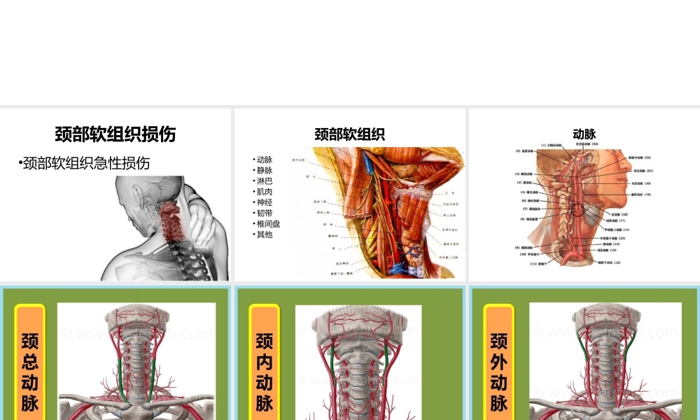 急性颈部软组织损伤.pptx