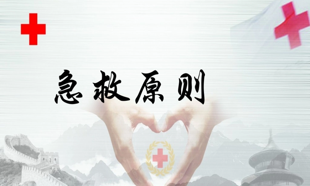 急救原则.ppt