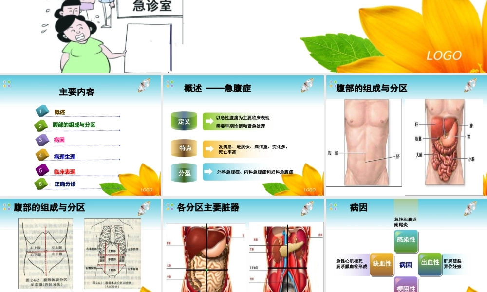 急腹症的正确分诊.ppt