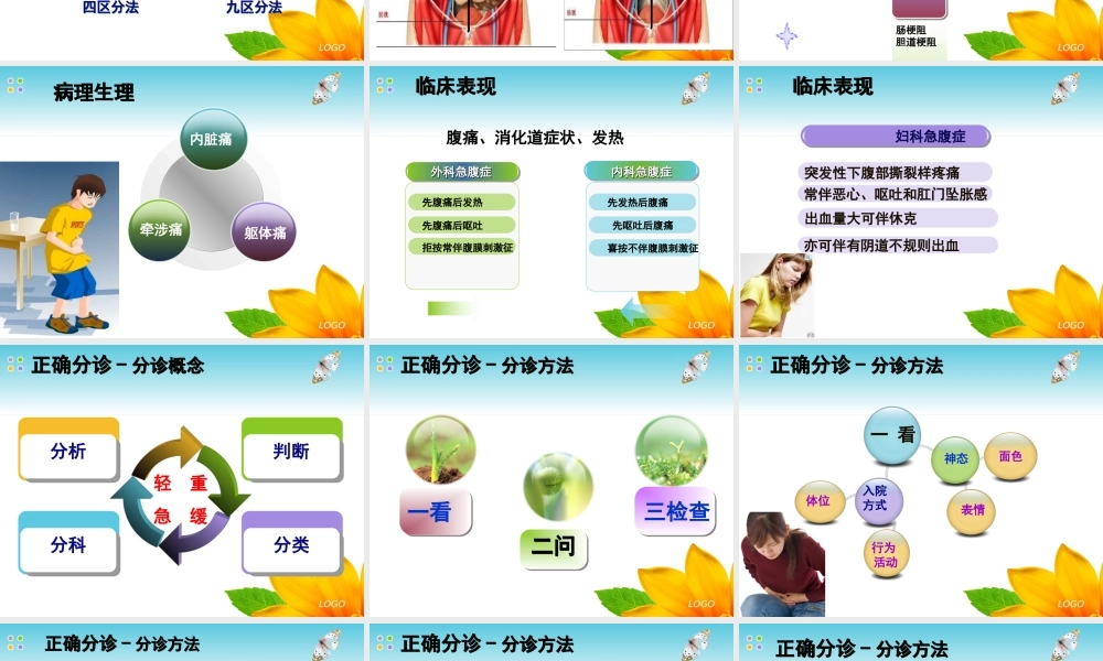 急腹症的正确分诊.ppt