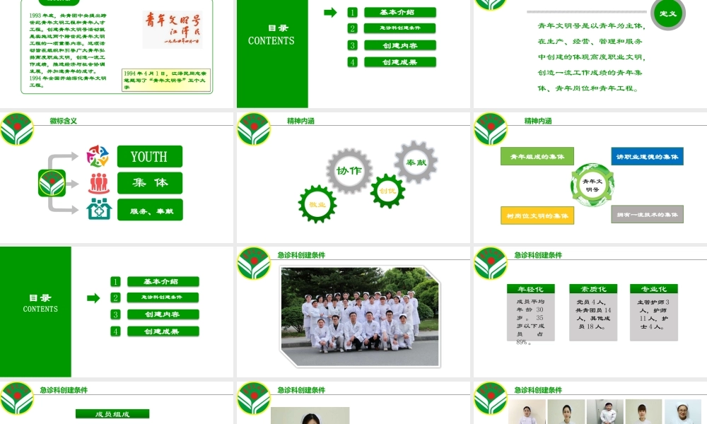 急诊科青年文明号.pptx