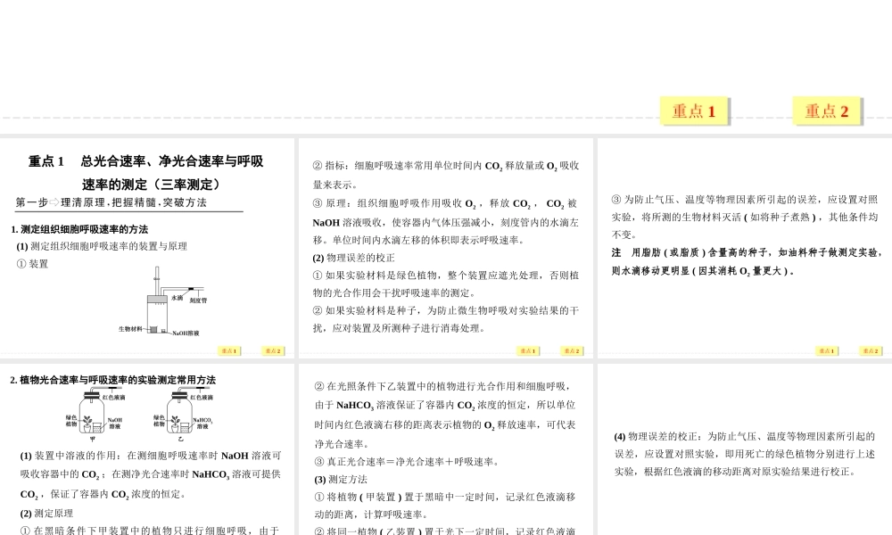 总光合速率、净光合速率与呼吸速率的辨析.ppt