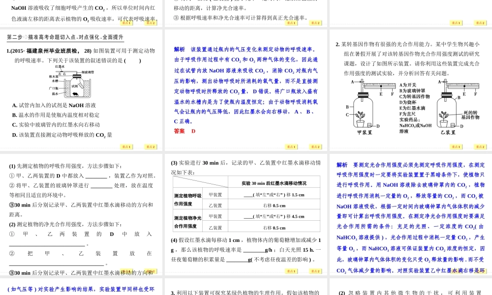 总光合速率、净光合速率与呼吸速率的辨析.ppt