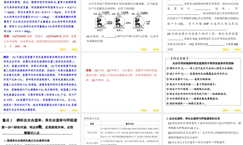 总光合速率、净光合速率与呼吸速率的辨析.ppt