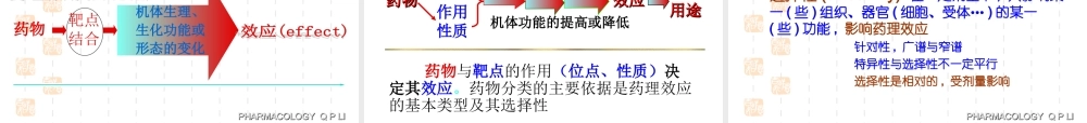 总论-药效.ppt