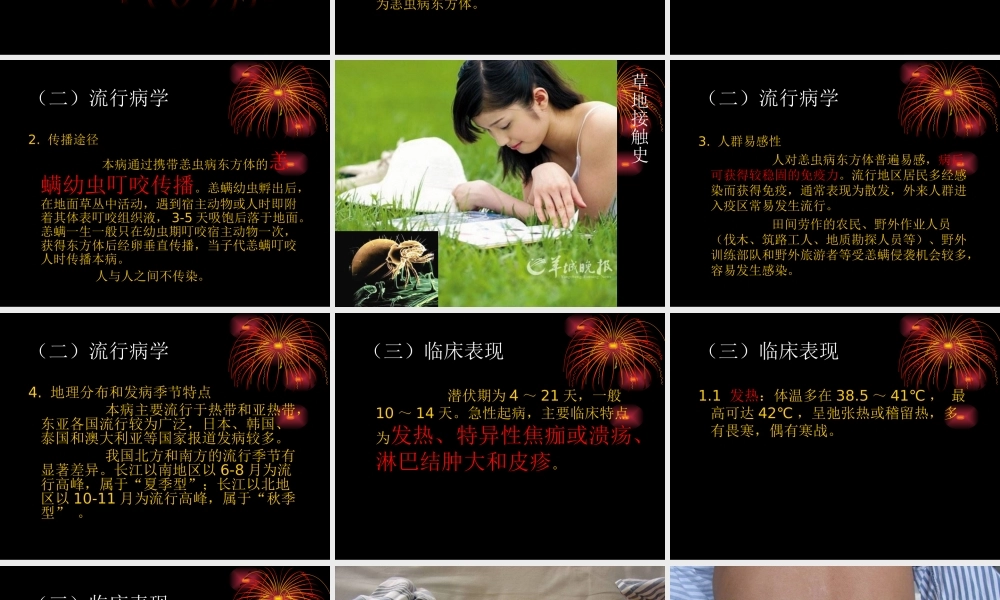 恙虫病---教学查房.ppt