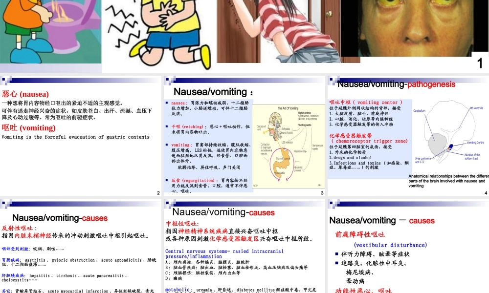 恶心-呕吐-腹痛-腹泻-黄疸.ppt
