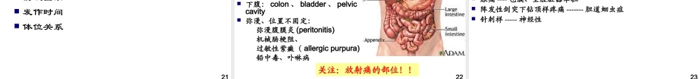 恶心-呕吐-腹痛-腹泻-黄疸.ppt