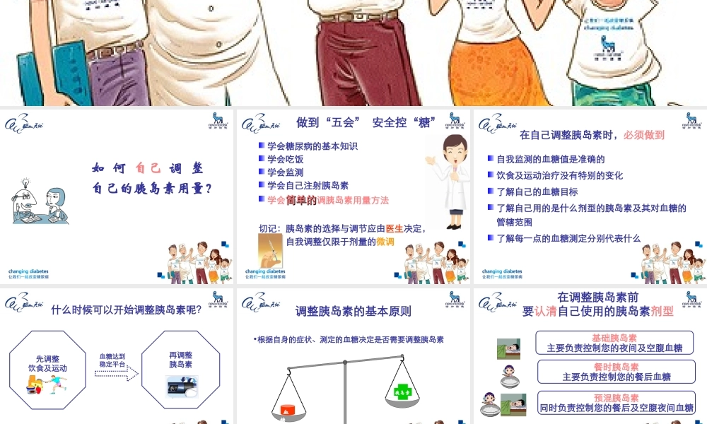 患教4-胰岛素剂量调整0102.ppt