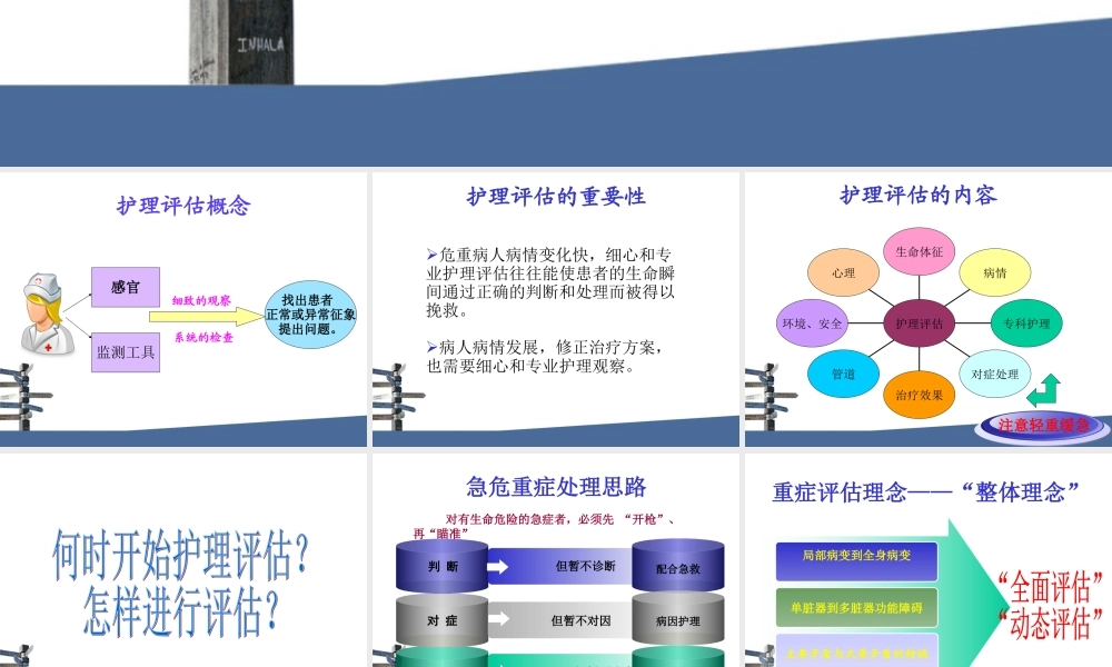 患者病情评估第一人.ppt