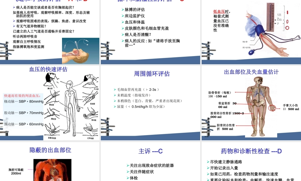 患者病情评估第一人.ppt