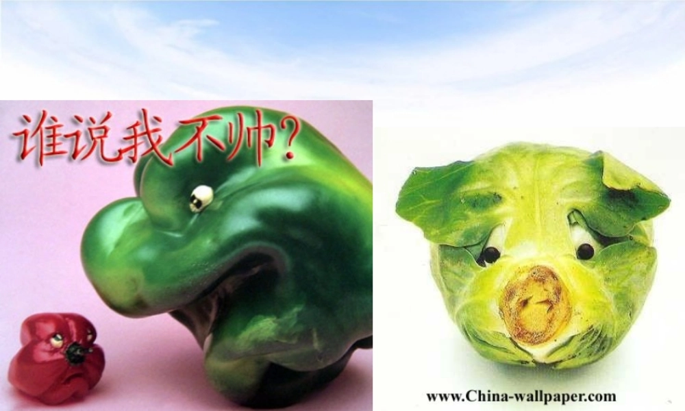 情绪和情感概述(PPT-82张).ppt