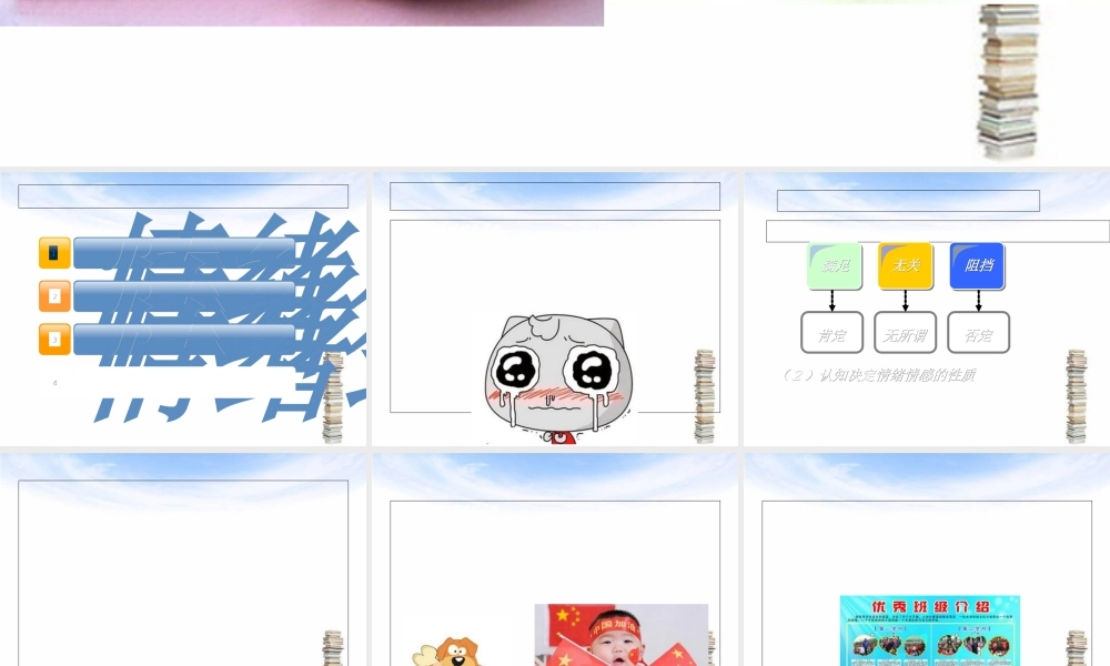 情绪和情感概述(PPT-82张).ppt