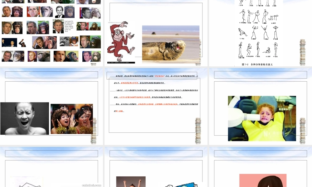 情绪和情感概述(PPT-82张).ppt