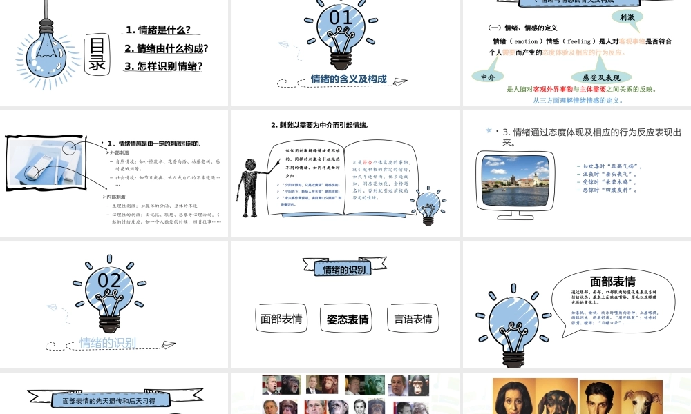情绪识别1.pptx