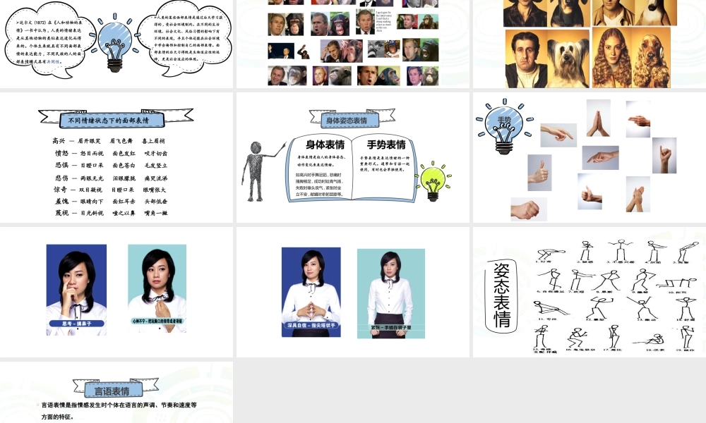 情绪识别1.pptx