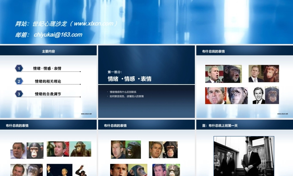 情绪：为什么高兴或悲伤概要.ppt