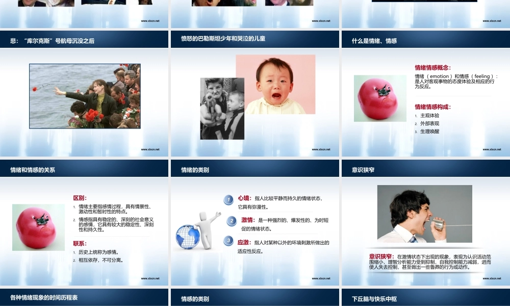 情绪：为什么高兴或悲伤概要.ppt