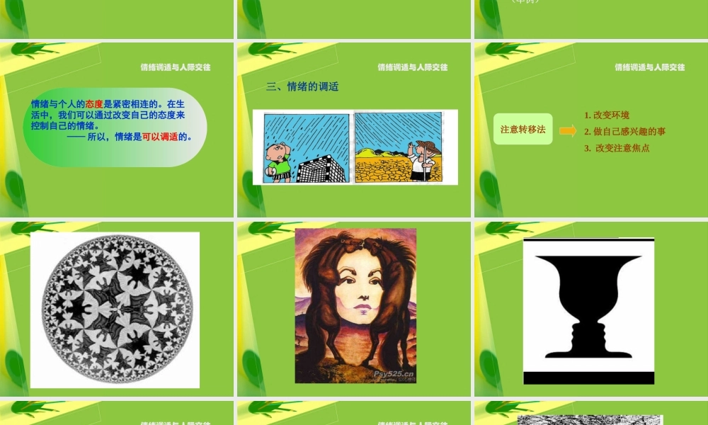 情绪调适与人际交往.ppt