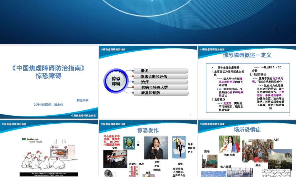 惊恐障碍诊治.ppt