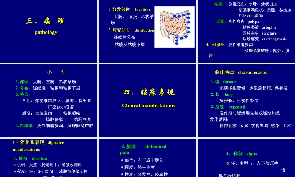 惠迪(炎症性肠病)专业版PPT.ppt