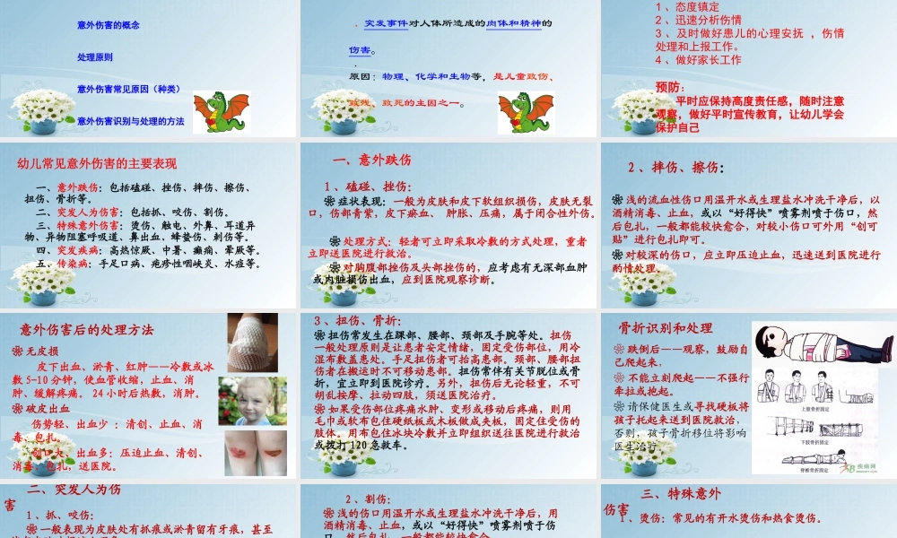 意外伤害-PPT.pptx