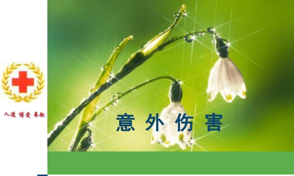 意外伤害院前急救.ppt