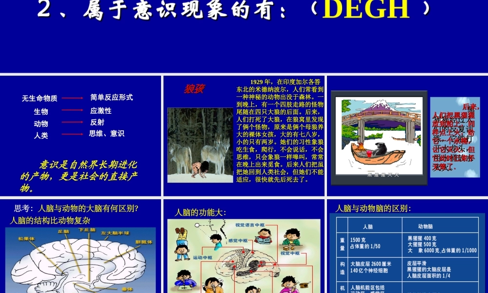 意识是客观事物在人脑中的反映.ppt