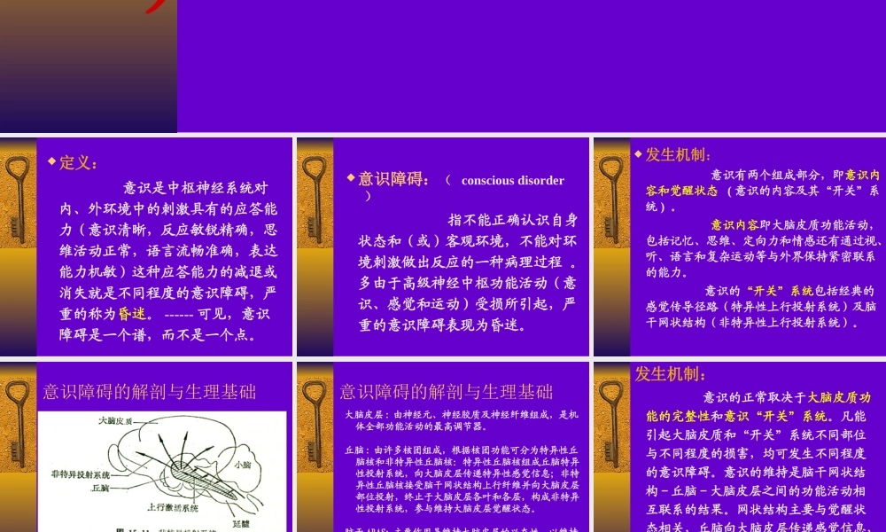 意识障碍PPT幻灯片概述.ppt