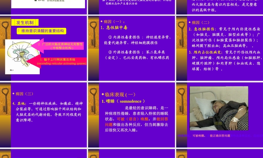 意识障碍PPT幻灯片概述.ppt