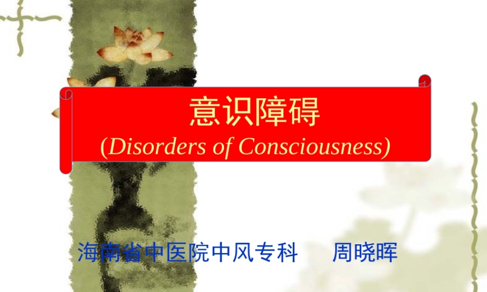 意识障碍分级剖析.ppt