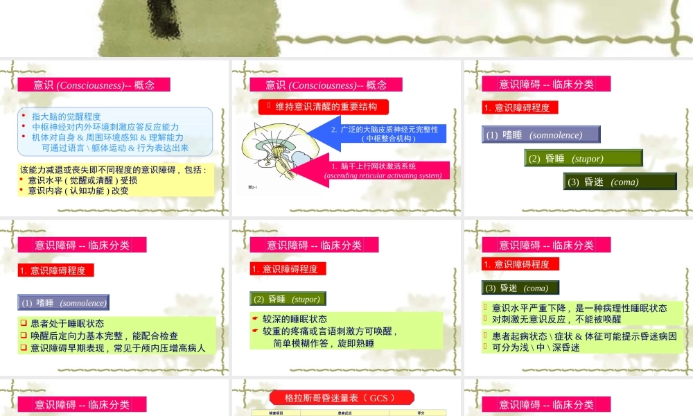 意识障碍分级剖析.ppt