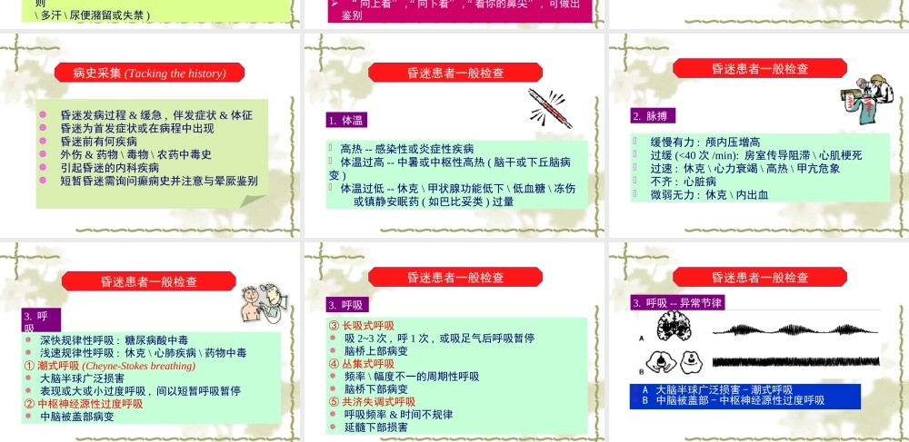 意识障碍分级剖析.ppt