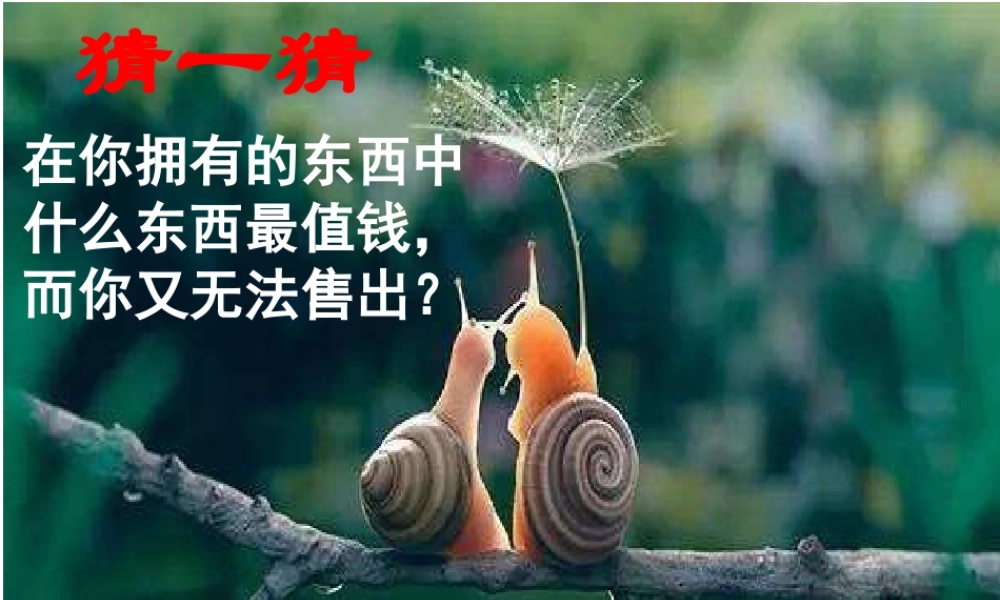 感受生命.ppt