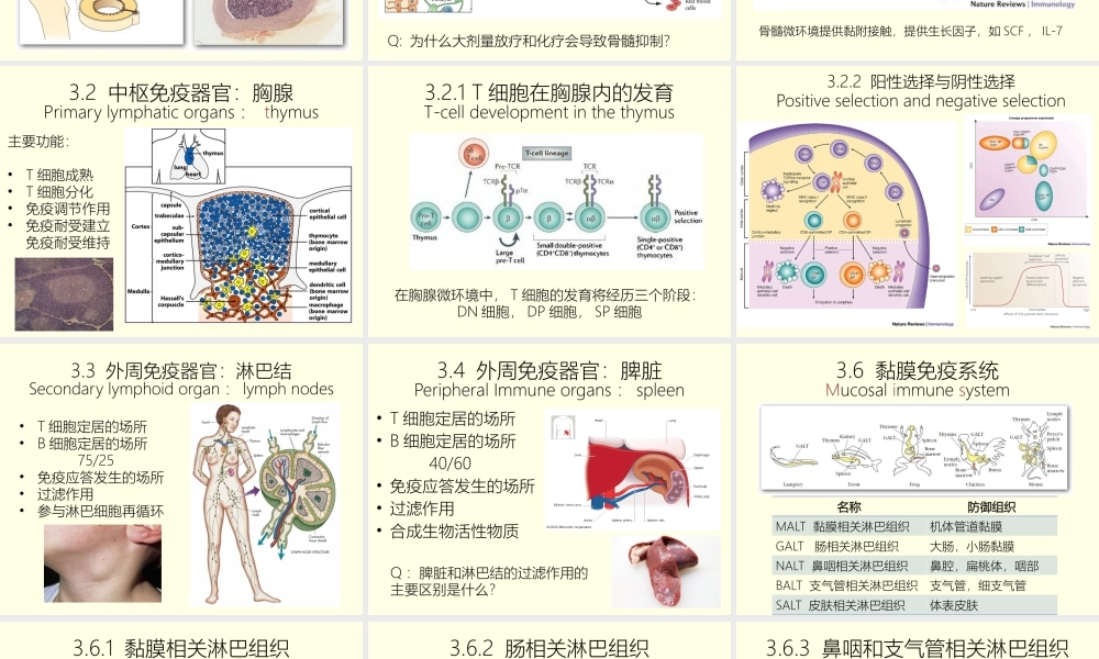 感染与免疫免疫器官-免疫细胞.pptx
