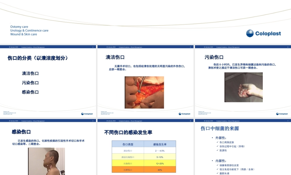 感染伤口的处理.ppt
