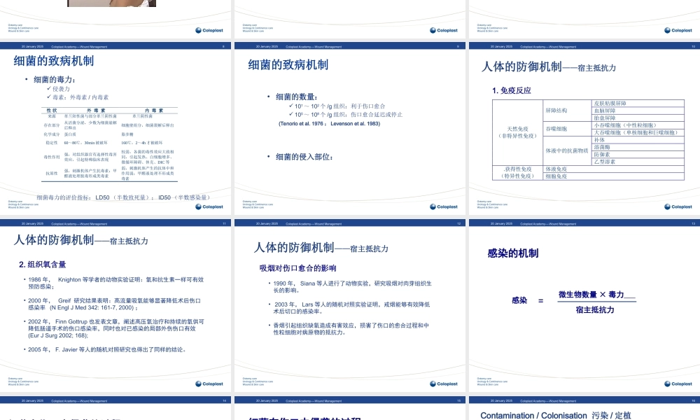 感染伤口的处理.ppt