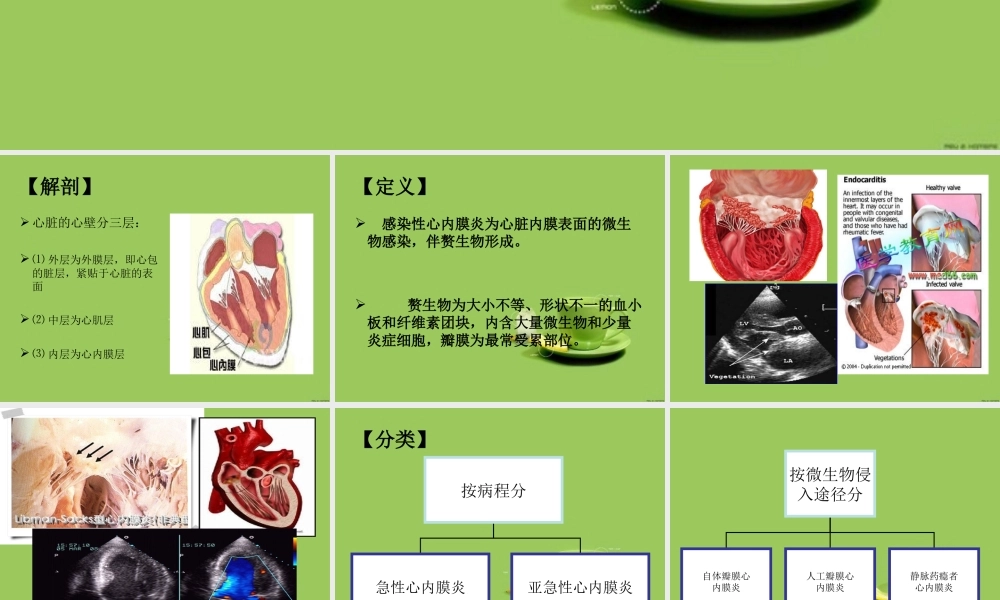 感染性心内膜炎----赖柳兰.ppt