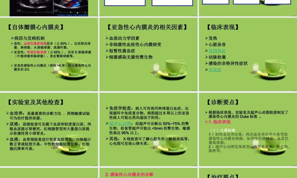 感染性心内膜炎----赖柳兰.ppt