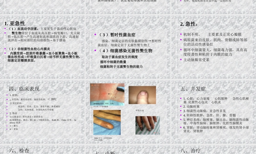 感染性心内膜炎2009.ppt