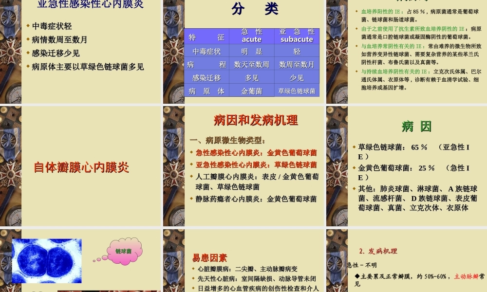 感染性心内膜炎12.ppt