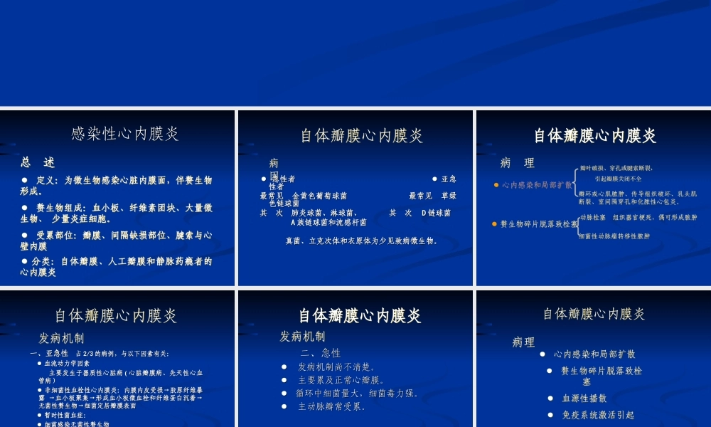 感染性心内膜炎B.ppt