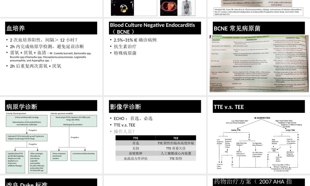 感染性心内膜炎的诊治.ppt