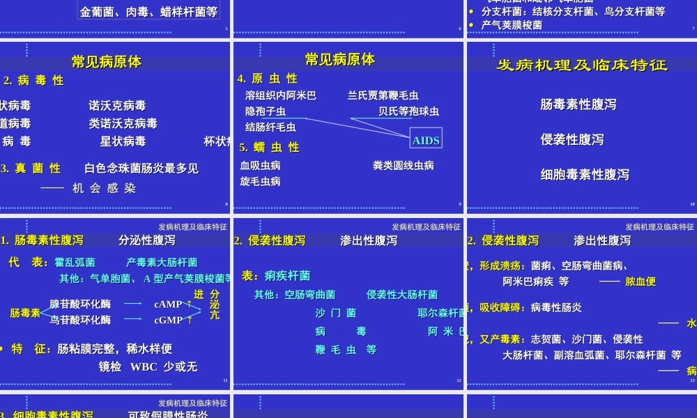 感染性腹泻与细菌性食物中毒.ppt