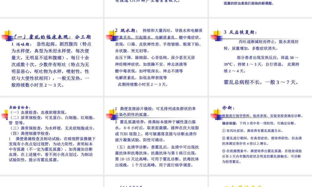 感染性腹泻讲义.ppt