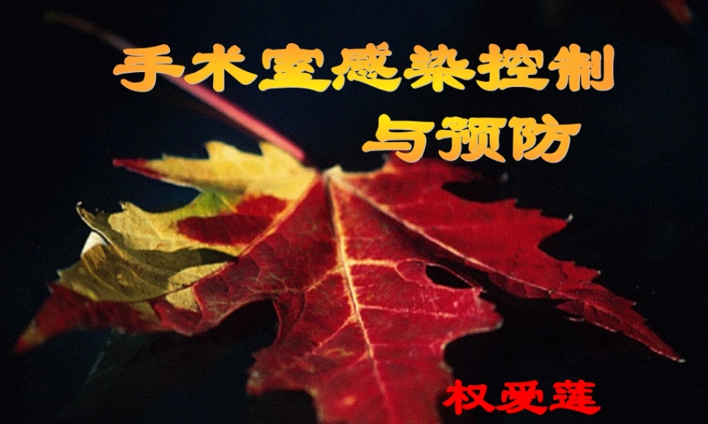 感染控制2.ppt
