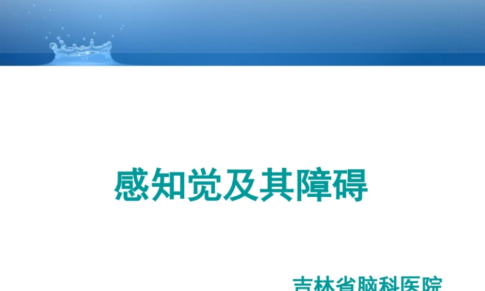 感知觉障碍.ppt