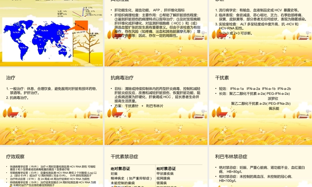 感染科教学查房(丙型肝炎.ppt